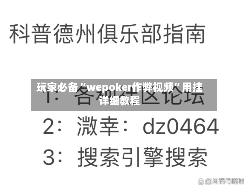 玩家必备“wepoker作弊视频”用挂详细教程