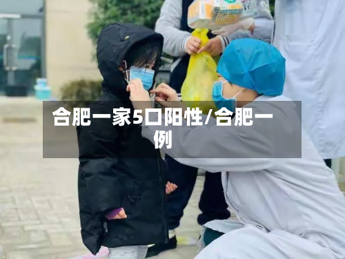 合肥一家5口阳性/合肥一例-第2张图片