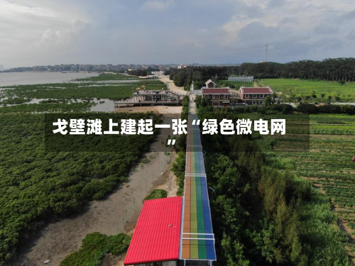 戈壁滩上建起一张“绿色微电网”-第2张图片