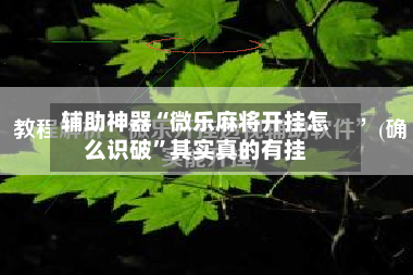 辅助神器“微乐麻将开挂怎么识破”其实真的有挂-第3张图片