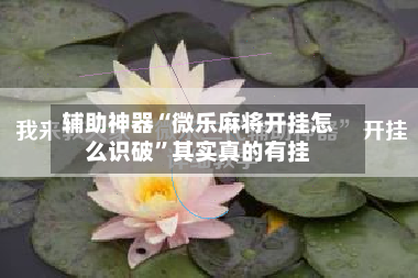 辅助神器“微乐麻将开挂怎么识破”其实真的有挂-第2张图片