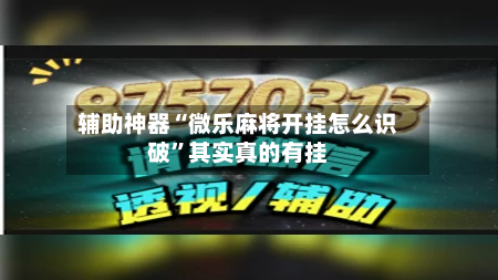辅助神器“微乐麻将开挂怎么识破	”其实真的有挂-第1张图片