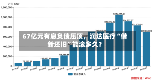 67亿元有息负债压顶，润达医疗“借新还旧”能滚多久？-第2张图片