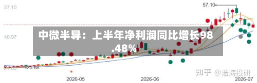 中微半导：上半年净利润同比增长98.48%-第2张图片