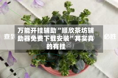 万能开挂辅助“顺欣茶坊辅助器免费下载安装”其实真的有挂
