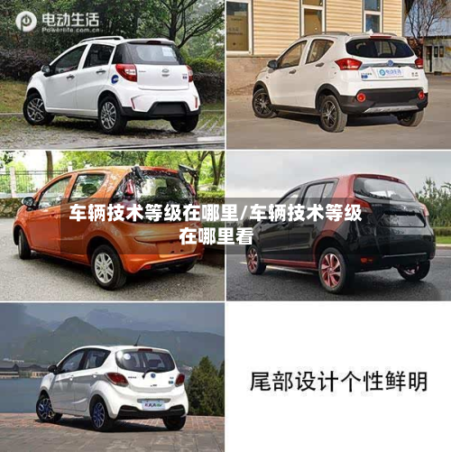 车辆技术等级在哪里/车辆技术等级在哪里看