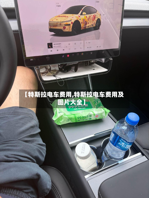 【特斯拉电车费用,特斯拉电车费用及图片大全】-第2张图片