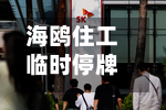 海鸥住工临时停牌！拟筹划控制权变更事项，公司已连亏三年半-第2张图片