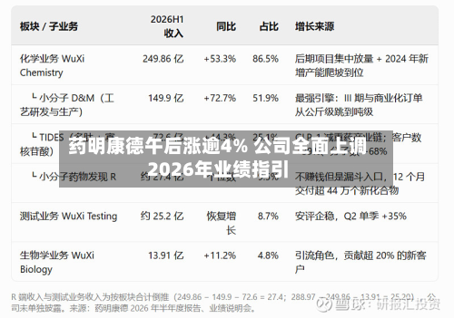 药明康德午后涨逾4% 公司全面上调2026年业绩指引-第1张图片