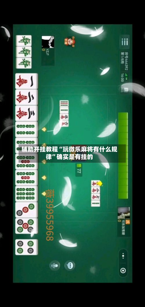 辅助开挂教程“玩微乐麻将有什么规律	”确实是有挂的-第3张图片