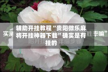 辅助开挂教程“贵阳微乐麻将开挂神器下载”确实是有挂的-第2张图片
