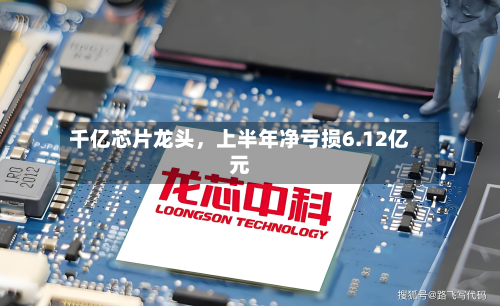 千亿芯片龙头，上半年净亏损6.12亿元-第2张图片
