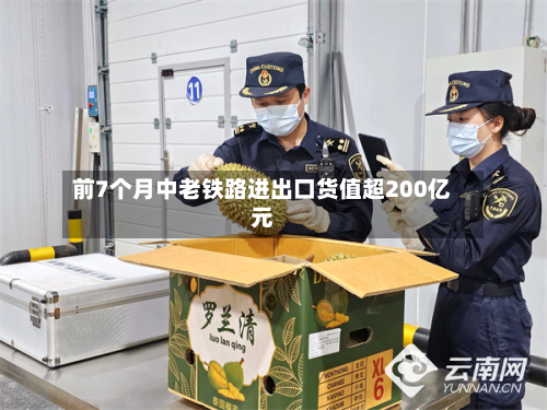 前7个月中老铁路进出口货值超200亿元