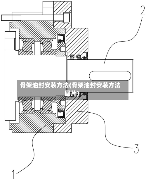 骨架油封安装方法(骨架油封安装方法图片)