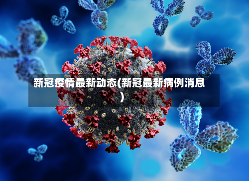 新冠疫情最新动态(新冠最新病例消息)