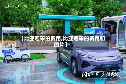 【比亚迪宋的费用,比亚迪宋的费用和图片】-第2张图片