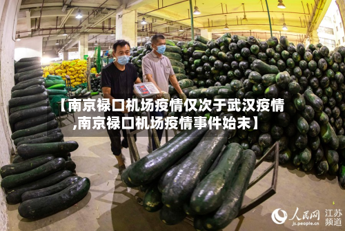 【南京禄口机场疫情仅次于武汉疫情,南京禄口机场疫情事件始末】-第2张图片