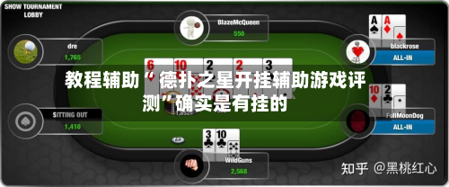 教程辅助“ 德扑之星开挂辅助游戏评测	”确实是有挂的-第2张图片