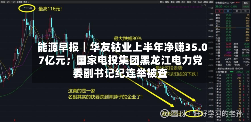 能源早报｜华友钴业上半年净赚35.07亿元；国家电投集团黑龙江电力党委副书记纪连举被查-第2张图片