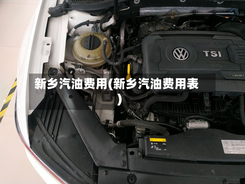 新乡汽油费用(新乡汽油费用表)