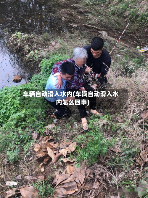 车辆自动滑入水内(车辆自动滑入水内怎么回事)