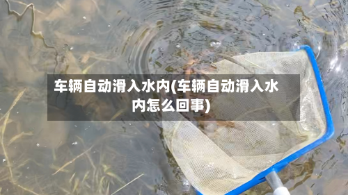 车辆自动滑入水内(车辆自动滑入水内怎么回事)-第2张图片