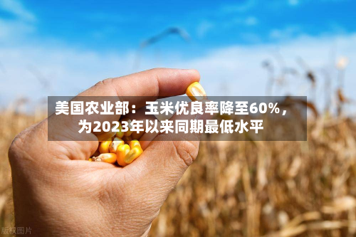 美国农业部：玉米优良率降至60%	，为2023年以来同期最低水平-第1张图片