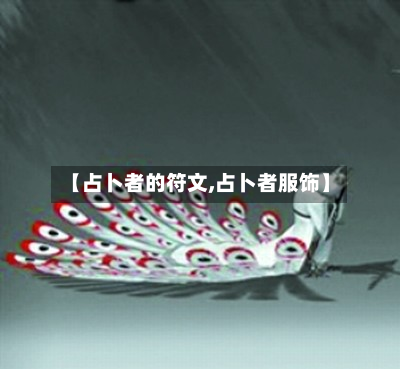 【占卜者的符文,占卜者服饰】-第2张图片