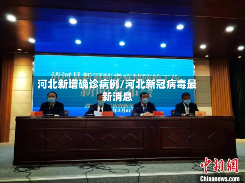 河北新增确诊病例/河北新冠病毒最新消息-第2张图片