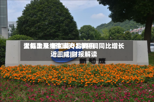 蛋氨酸及维生素产品费用
大幅上涨 新和成Q2净利润同比增长近三成|财报解读-第2张图片