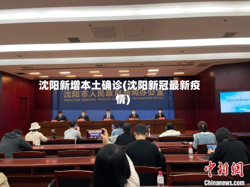 沈阳新增本土确诊(沈阳新冠最新疫情)-第2张图片
