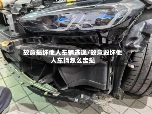 故意损坏他人车辆逃逸/故意毁坏他人车辆怎么定损-第3张图片