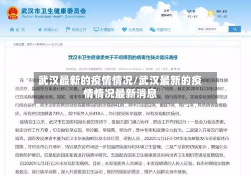 武汉最新的疫情情况/武汉最新的疫情情况最新消息