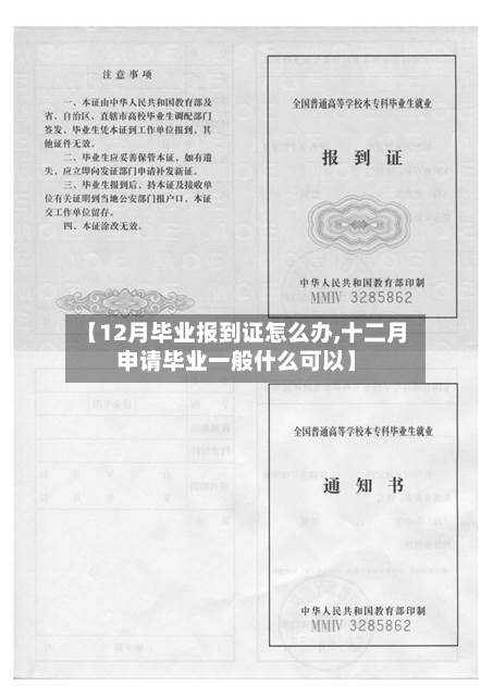 【12月毕业报到证怎么办,十二月申请毕业一般什么可以】