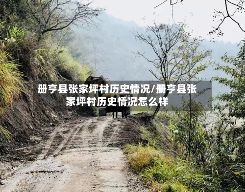 册亨县张家坪村历史情况/册亨县张家坪村历史情况怎么样-第3张图片