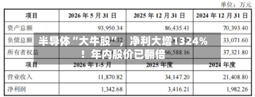 半导体“大牛股”，净利大增1324%！年内股价已翻倍-第1张图片