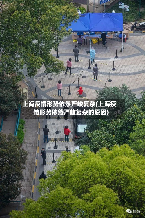 上海疫情形势依然严峻复杂(上海疫情形势依然严峻复杂的原因)-第2张图片