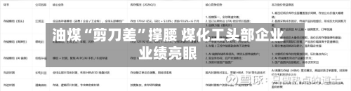 油煤“剪刀差	”撑腰 煤化工头部企业业绩亮眼-第2张图片