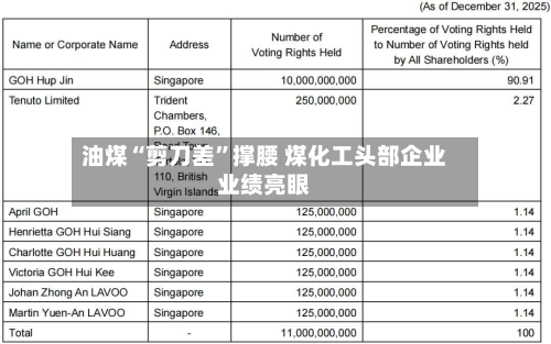 油煤“剪刀差”撑腰 煤化工头部企业业绩亮眼