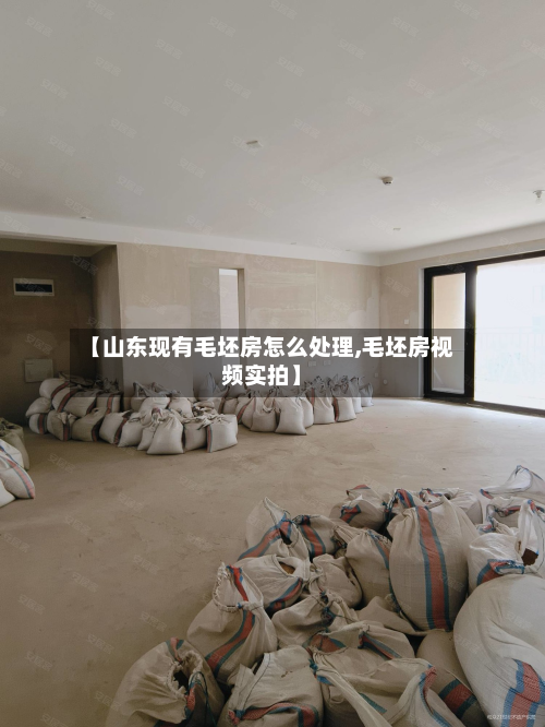【山东现有毛坯房怎么处理,毛坯房视频实拍】-第2张图片