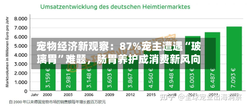 宠物经济新观察：87%宠主遭遇“玻璃胃”难题，肠胃养护成消费新风向-第3张图片