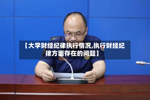 【大学财经纪律执行情况,执行财经纪律方面存在的问题】-第3张图片
