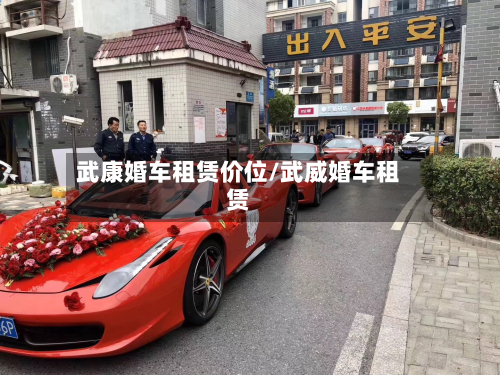 武康婚车租赁价位/武威婚车租赁