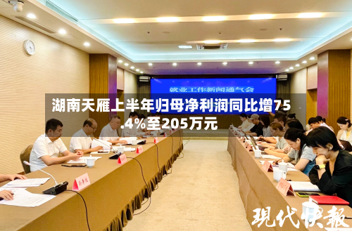 湖南天雁上半年归母净利润同比增75.4%至205万元-第2张图片