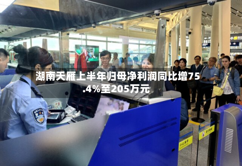 湖南天雁上半年归母净利润同比增75.4%至205万元-第3张图片