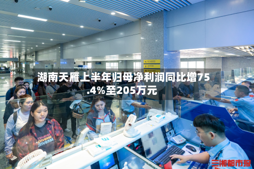 湖南天雁上半年归母净利润同比增75.4%至205万元-第1张图片