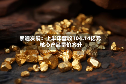 索通发展：上半年营收104.14亿元 核心产品量价齐升