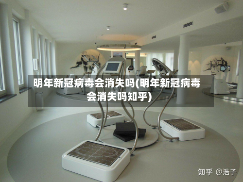 明年新冠病毒会消失吗(明年新冠病毒会消失吗知乎)-第3张图片