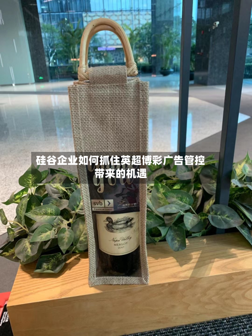 硅谷企业如何抓住英超博彩广告管控带来的机遇