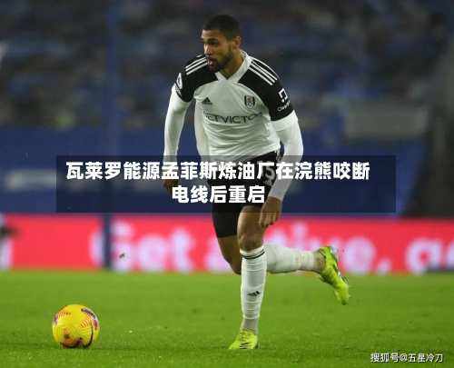 瓦莱罗能源孟菲斯炼油厂在浣熊咬断电线后重启